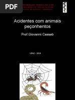 Animais Peçonhentos