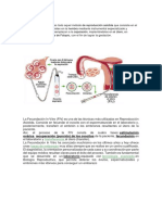 Inseminación Artificial