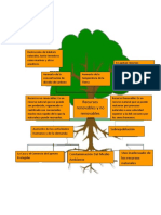 Sociales Arbol