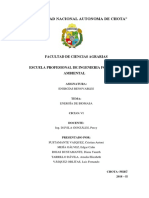 Energia Renobables Informe