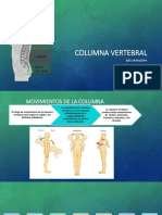 Presentación1.ijii