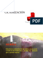 Cicatrización