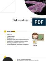 Salmonelosis: Definición, epidemiología y cuidados