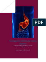 Investigación Científica Del Sistema Digestivo