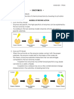 Enzymes - : 1. Lock and Key Model