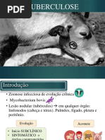 tuberculoseinspeção (1)