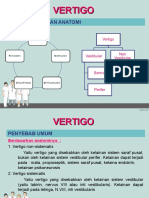 Vertigo Powerpoint 3
