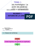 TEMA 1.pdf