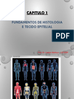 Temas 1 e 2 - Intro Microscopia e Tecido Epitelial