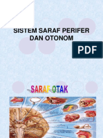 Anatomi Histologi Pertemuan 6