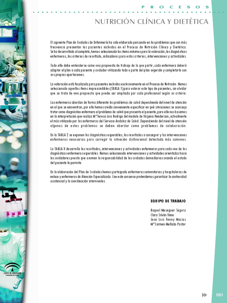 Plan de Cuidados Nutrición Clínica y Dietética PDF | PDF | Dieta ...