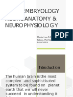 Basic Neuroanatomy Converted