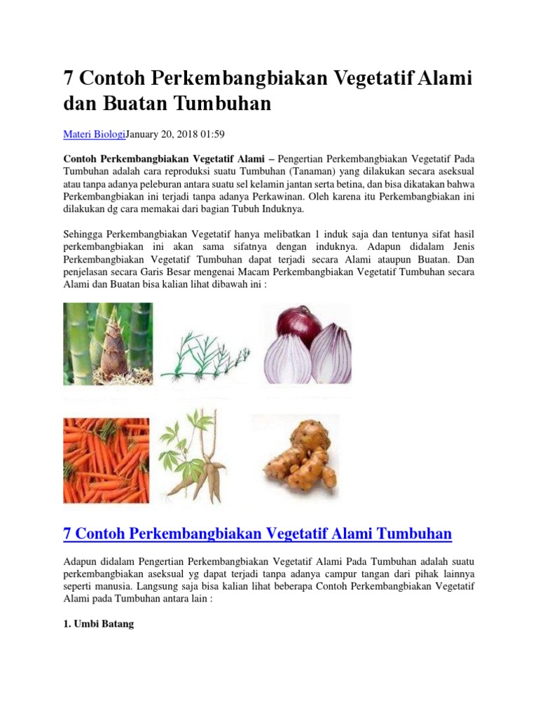 Reproduksi Tumbuhan Docx