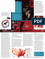 Heartworm Disease PDF