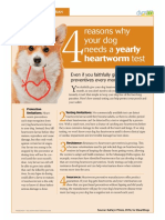 Why Test For Heartworms