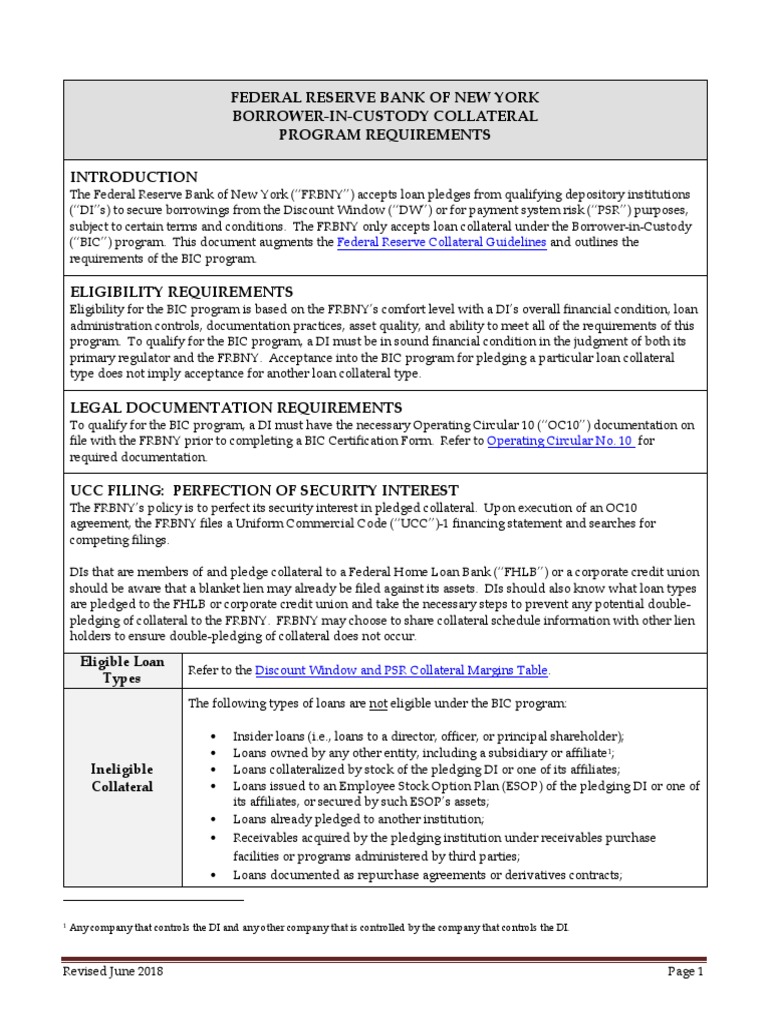 BIC Program Requirements Overview | PDF | Loans | Credit