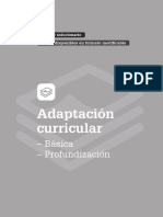 Fichas para La Adaptacion Curricular PDF