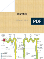 Effects and mechanisms of diuretics in the kidney