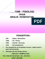 Anatomi-Analis-1