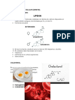 Acidos Grasos Tarea