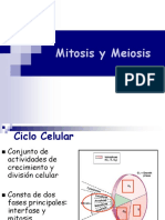 2 Mitosis y Meiosis