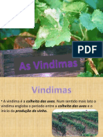 Vindimas