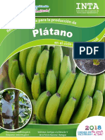 Cultivo de Plátano: Condiciones óptimas y prácticas de manejo