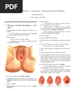 Sistema Genital Feminino