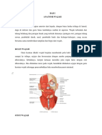Anatomi Wajah Dan Parotidektomi 2