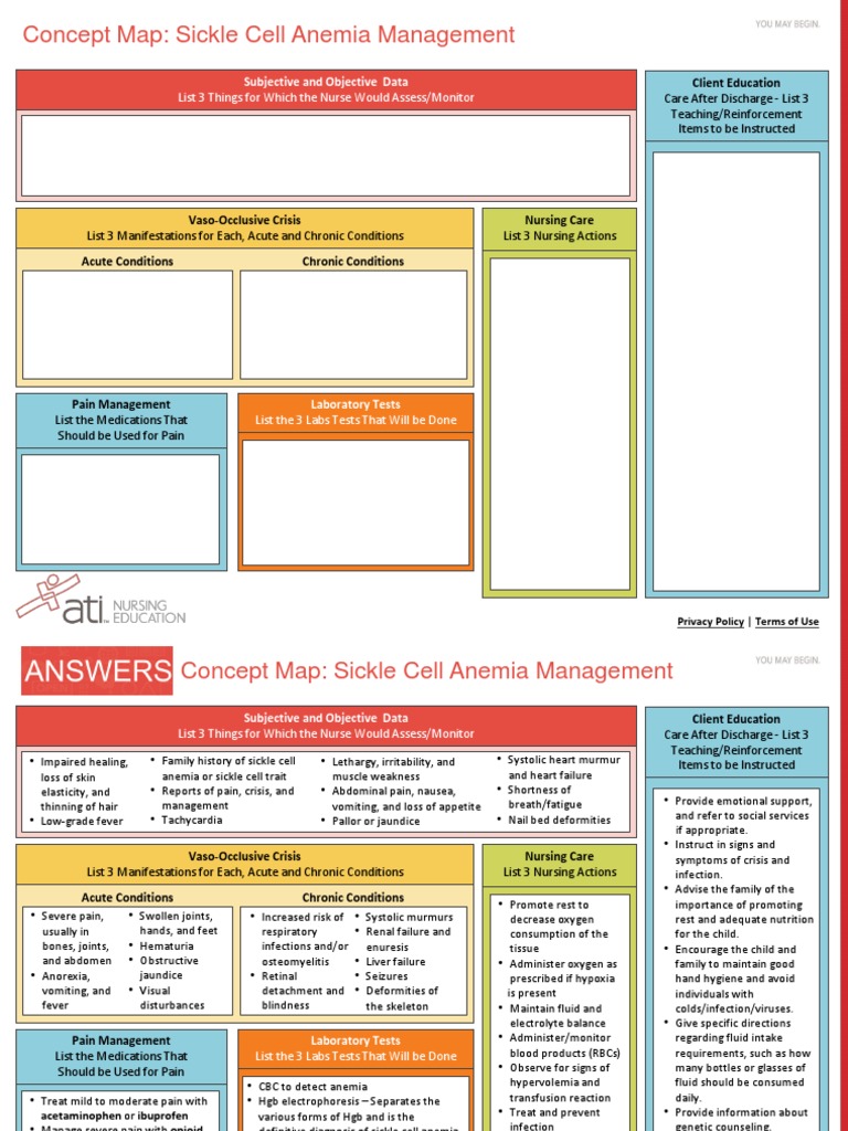 Ncc Sicklecellanemiamanagement Conceptmap Interactivepdf Anemia Pain