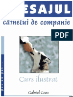 Gabriel Cocu - Dresajul Cainelui de Companie.pdf
