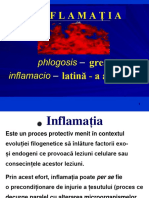  Inflamatia