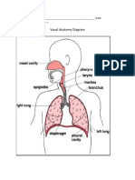 1.vocalanatomyworksheet.docx