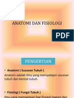 Anatomi Dan Fisiologi