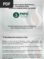 1._plantas_medicinais_antidiarreicas.ppt (1).pptx