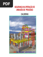 1._NR_13_-_TREINAMENTO_EM_SEGURANÇA_NA_OPERAÇÃO_DE_UNIDADES_DE_PROCESSO_-_CALDEIRAS.pdf