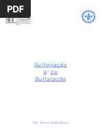 SulfonacaoSulfatacao-478