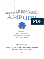 94106377-makalah-amfibi.docx