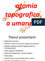 Anatomia Topografica A Umarului