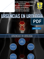 Urgencias en Urologia 