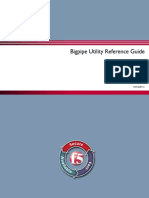 Bigpipe_Utility_Reference_Guide.pdf