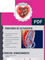 Fisiologia Placentaria.jpg