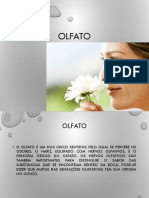 3 Olfato PDF