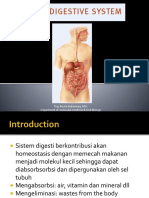 Digestive System