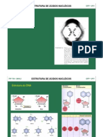 Estrutura Do Dna e Proteínas