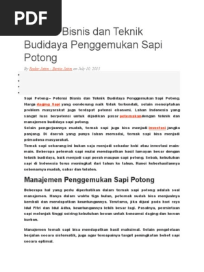 Potensi Bisnis Dan Teknik Budidaya Penggemukan Sapi Potong Docx
