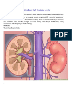 How To Bring Down High Creatinine Levels PDF