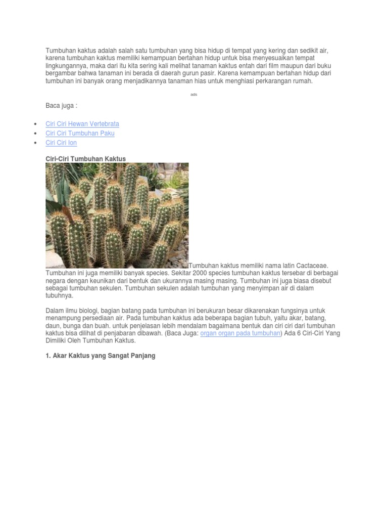 Kaktus Pdf