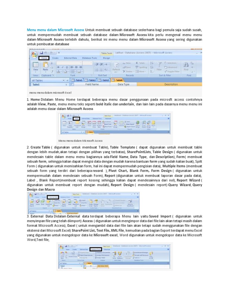 Menu Menu Dalam Microsoft Access | PDF