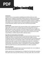 Bitch Spay Surgical Techniques Guide | PDF | Neutering | Home & Garden